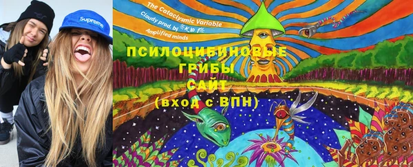 гидропоника Инсар