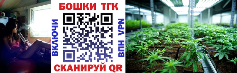 Купить закладки  Новосокольники  Конопля MAZAR 